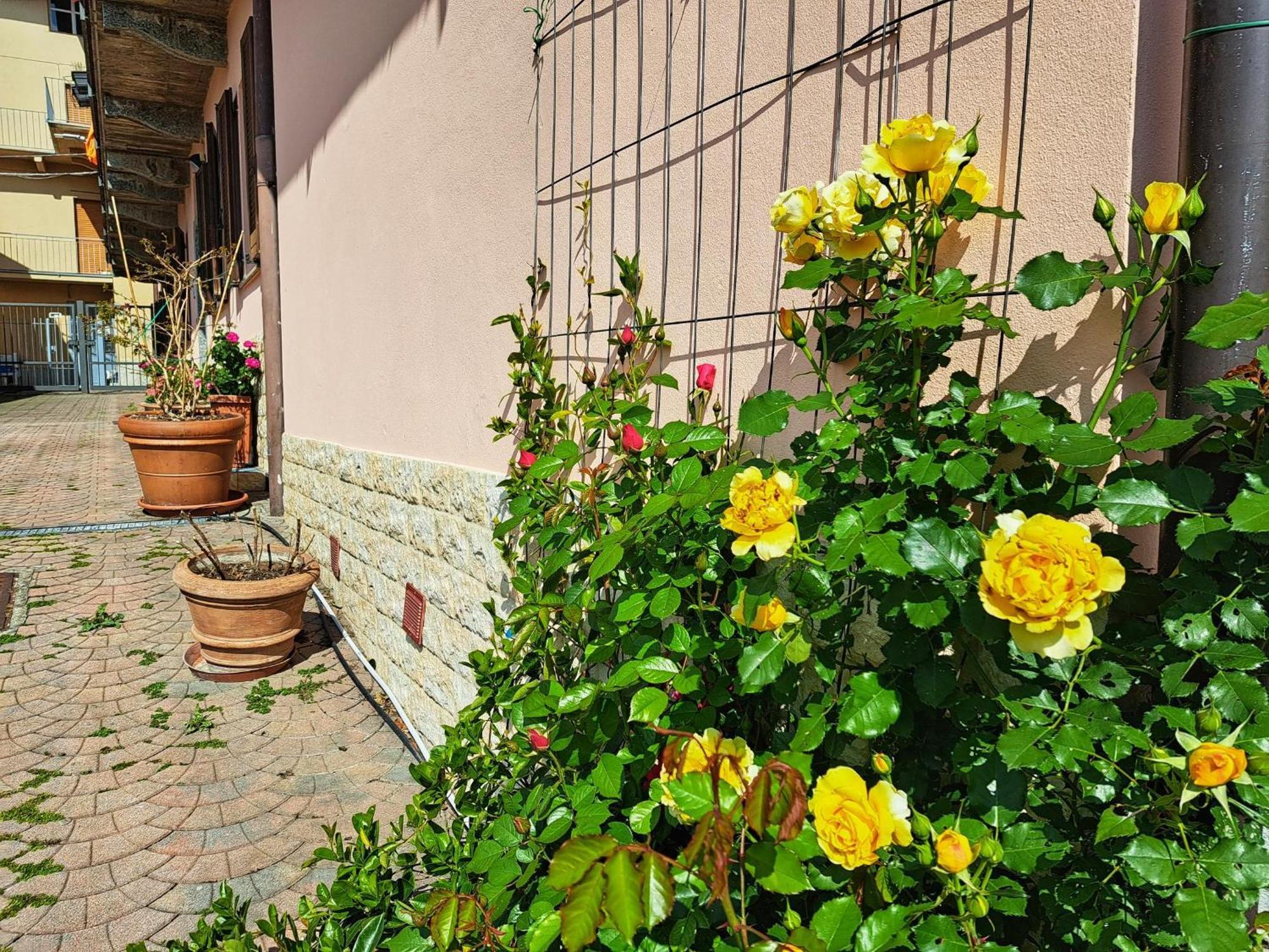 Le Rose Sul Lago Pescate Exteriör bild