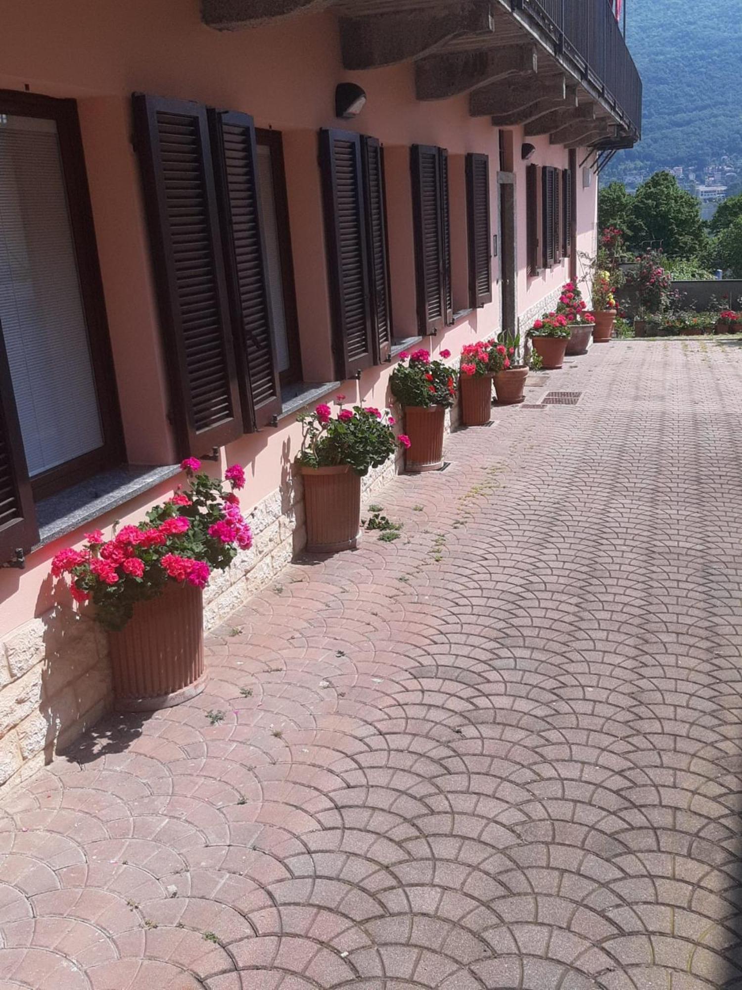 Le Rose Sul Lago Pescate Exteriör bild