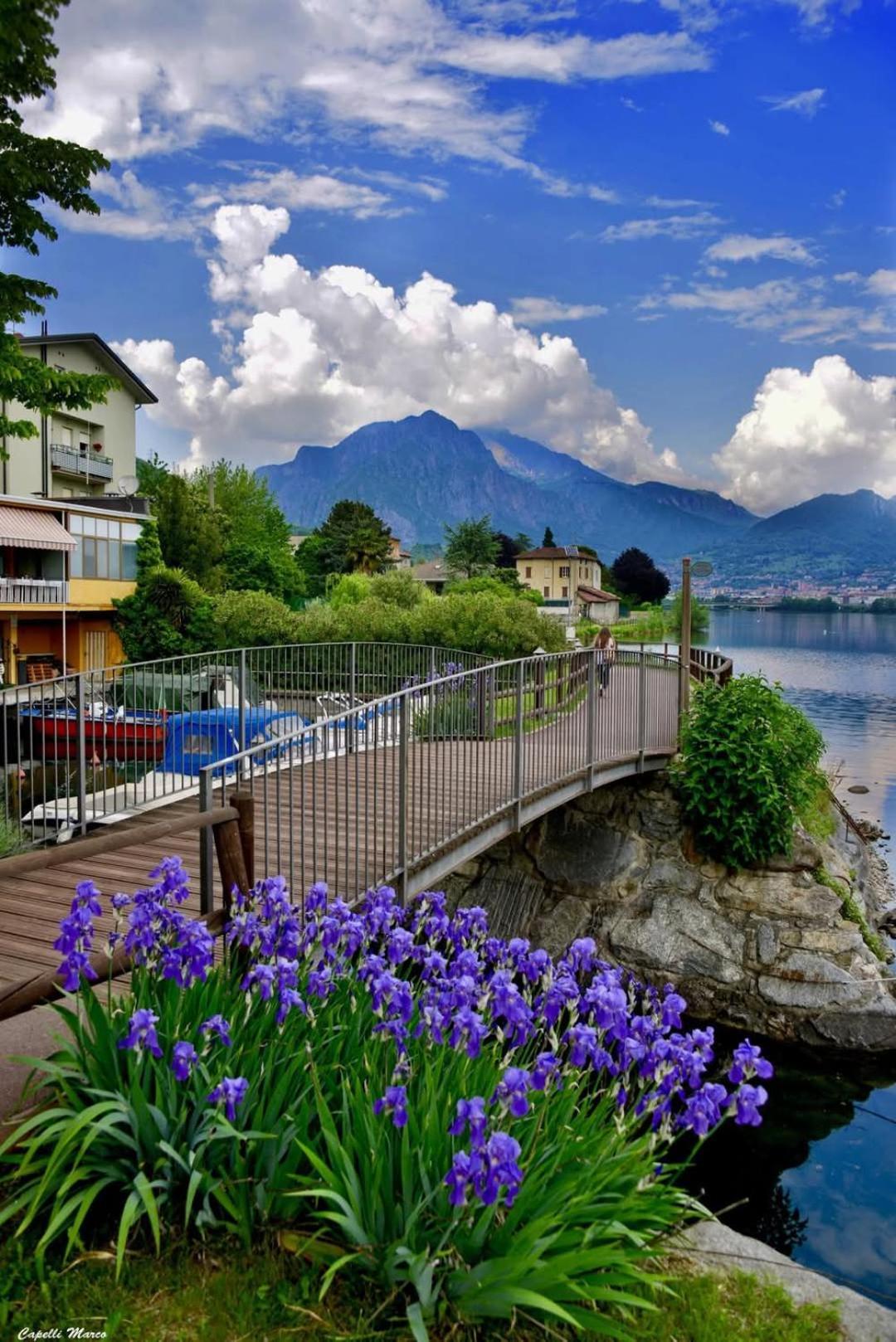 Le Rose Sul Lago Pescate Exteriör bild